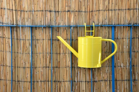 Gelbe Gießkanne an Bambuszaun